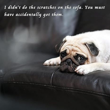 SEISSO 24色レザー&ビニール補修キット(ソファ、車のシート、靴、ジャケットなどに対応)