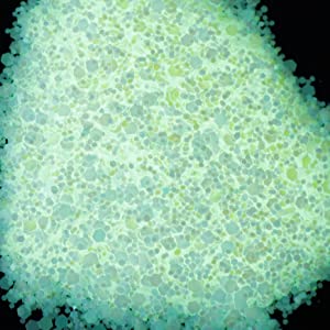 JS-YGLP-12X-10g-SEISSO