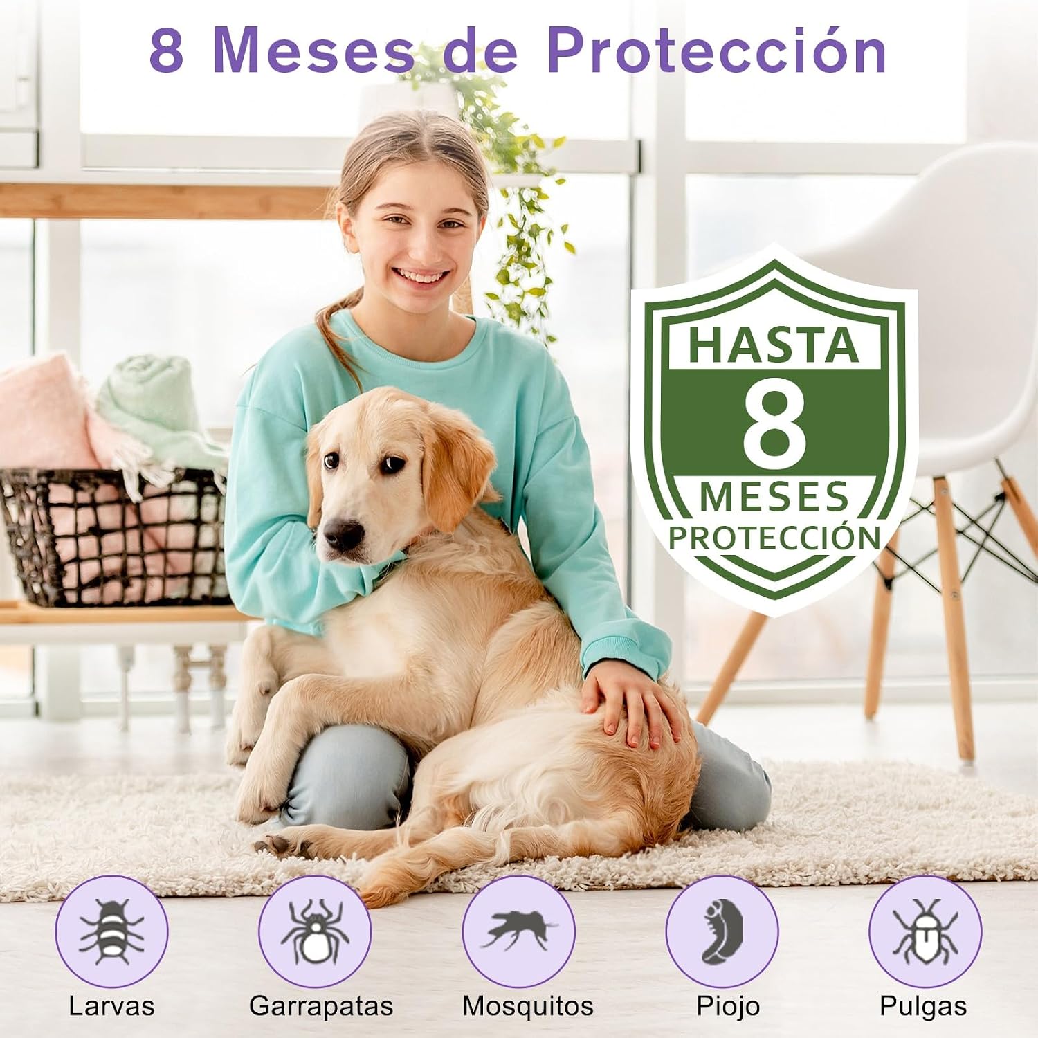 SEISSO Flea Collar for Dogs, Flea and Tick Collars with 6-8 Months Protection, 25" Adjustable Anti-Parasitic Control for Large Medium and Small Dogs, Purple
