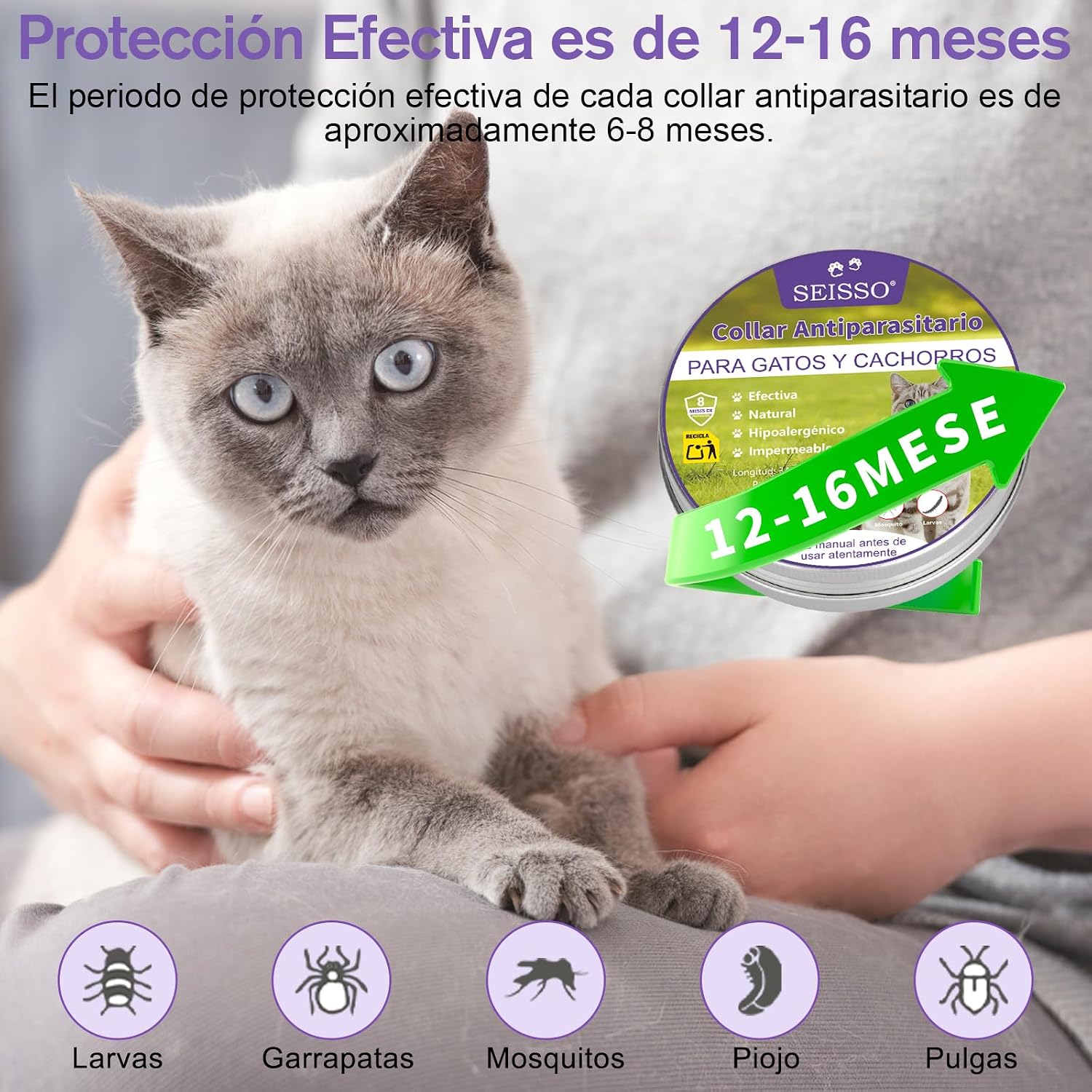 SEISSO 2 Flea Collars for Cats, Set of 2 Flea and Tick Collar with 6-8 Months Protection, Anti-Parasitic Collar 34.5 cm Adjustable for Small Dogs and Cats, Purple