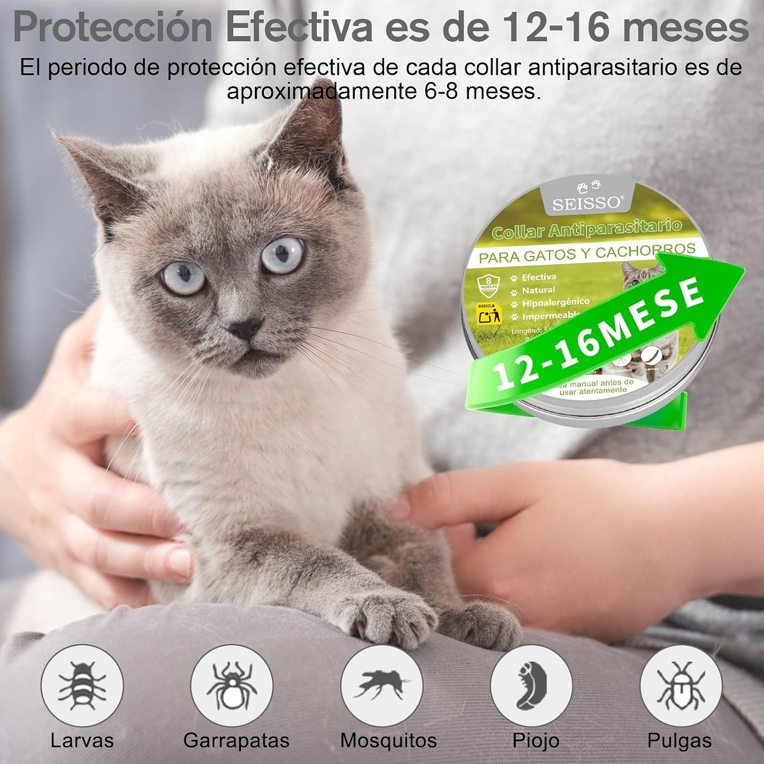 SEISSO 2 Flea Collars for Cats, Set of 2 Flea and Tick Collar with 6-8 Months Protection, Anti-Parasitic Collar 34.5 cm Adjustable for Small Dogs and Cats, Grey