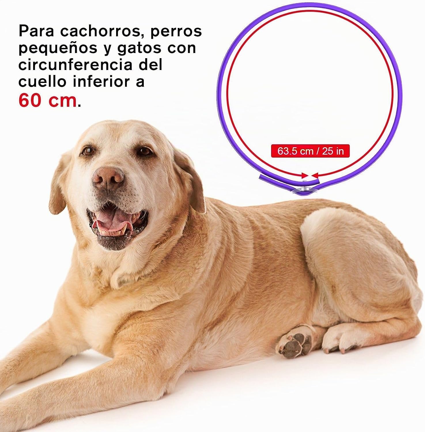 SEISSO 2 Flea Collar for Dogs, 63.5 cm, Purple