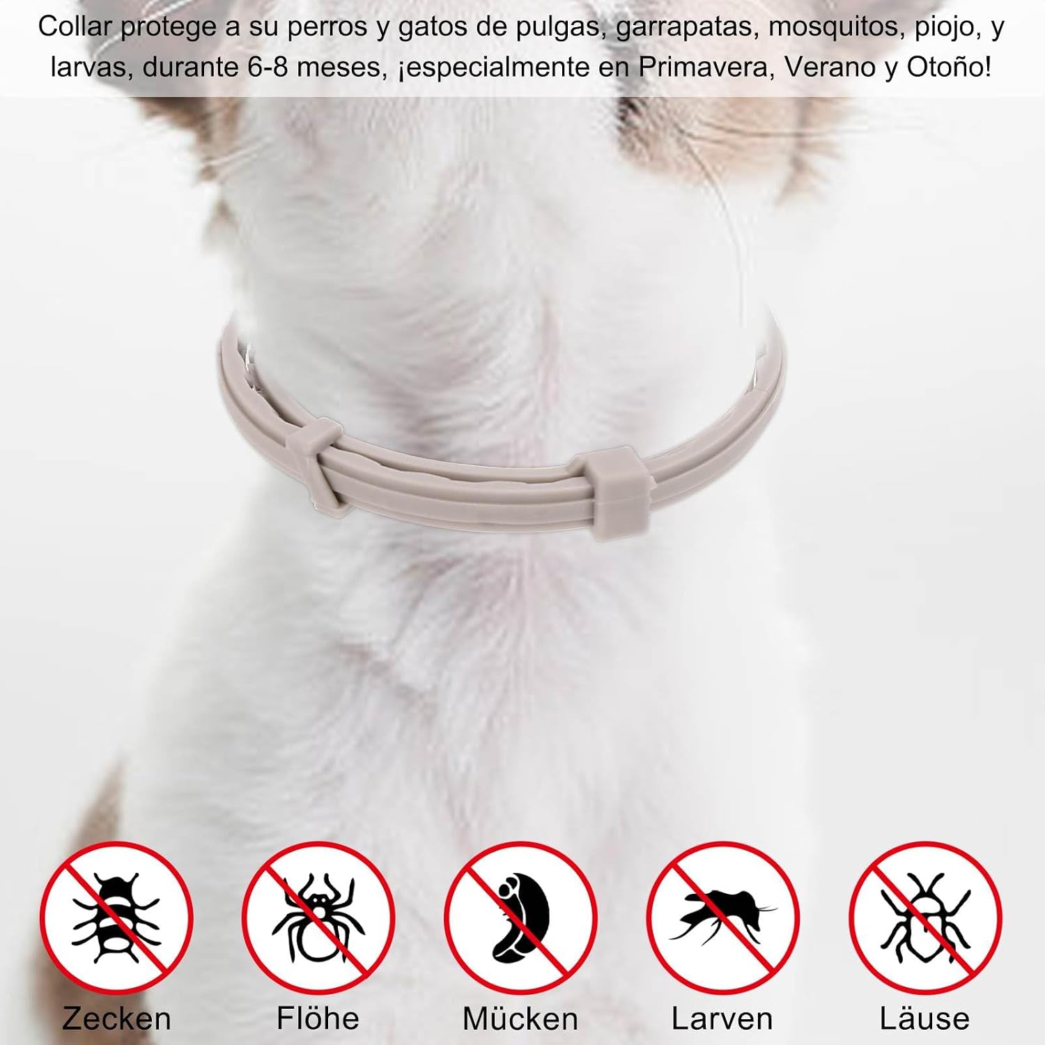 SEISSO Anti-parasitic Collar Dogs, Flea and Tick Collar for Cats, Collar Protects Dogs and Cats from Fleas Ticks Lice Mosquitoes Larveas, Grey, 39.5 cm
