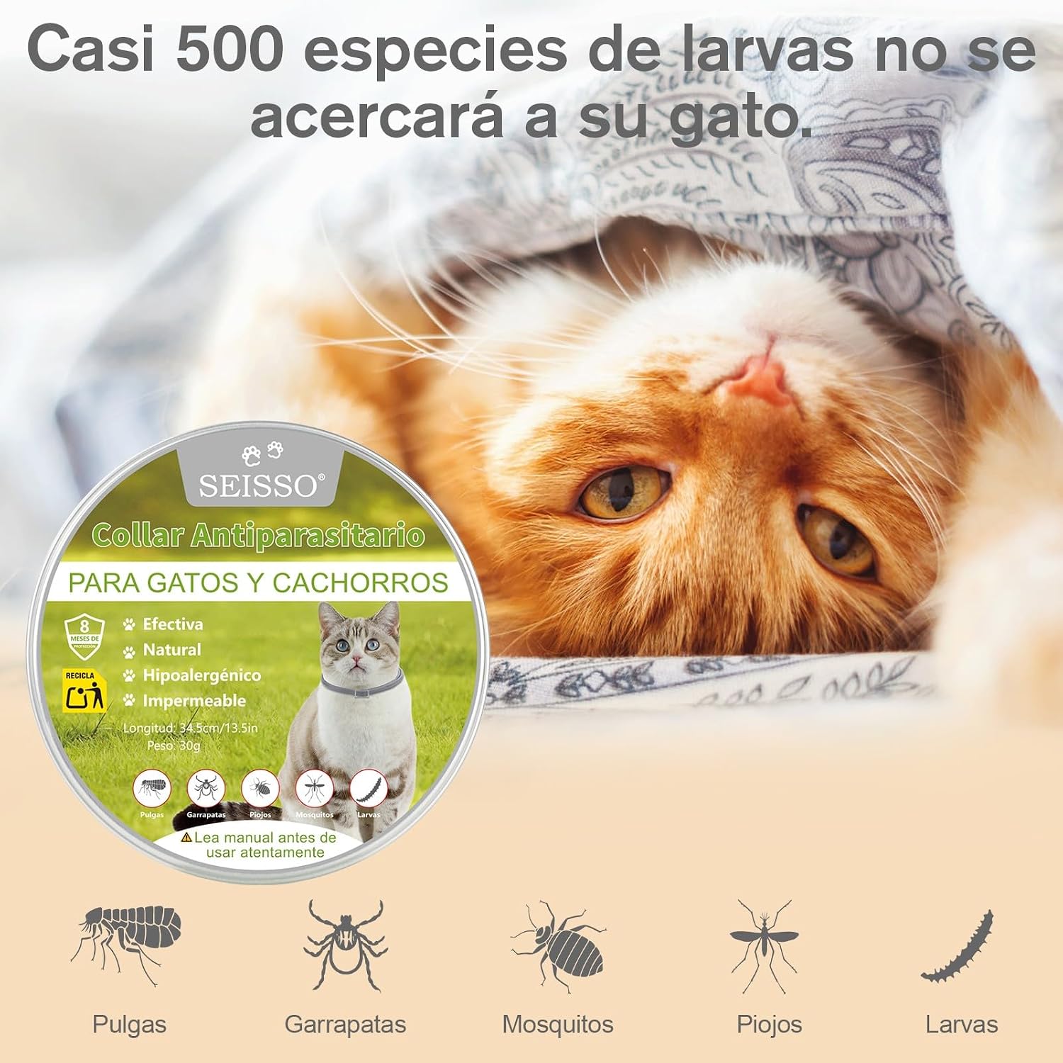 SEISSO 2 Flea Collars for Cats, Set of 2 Flea and Tick Collar with 6-8 Months Protection, Anti-Parasitic Collar 34.5 cm Adjustable for Small Dogs and Cats, Grey