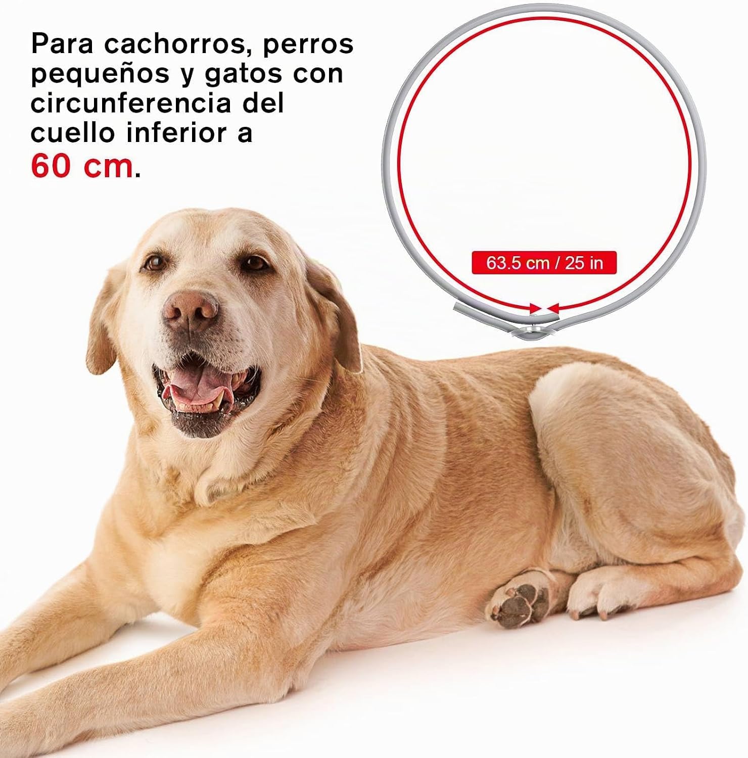 SEISSO Flea Collar for Dogs, Grey, 25 inches