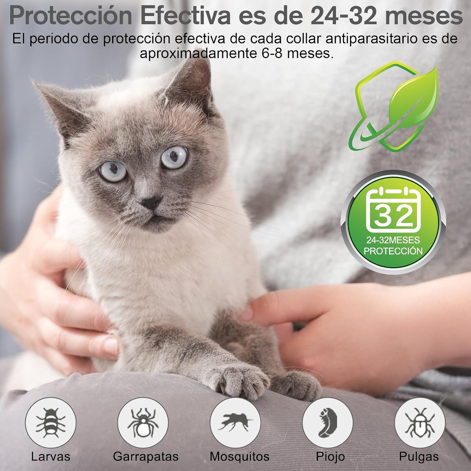 SEISSO 4 Anitparasitic Collars for Cats, Set of 4 Flea and Tick Collar with 24-32 Months Protection, Anti-Pale Collars for Small Dogs and Cats, 34.5 cm, Grey