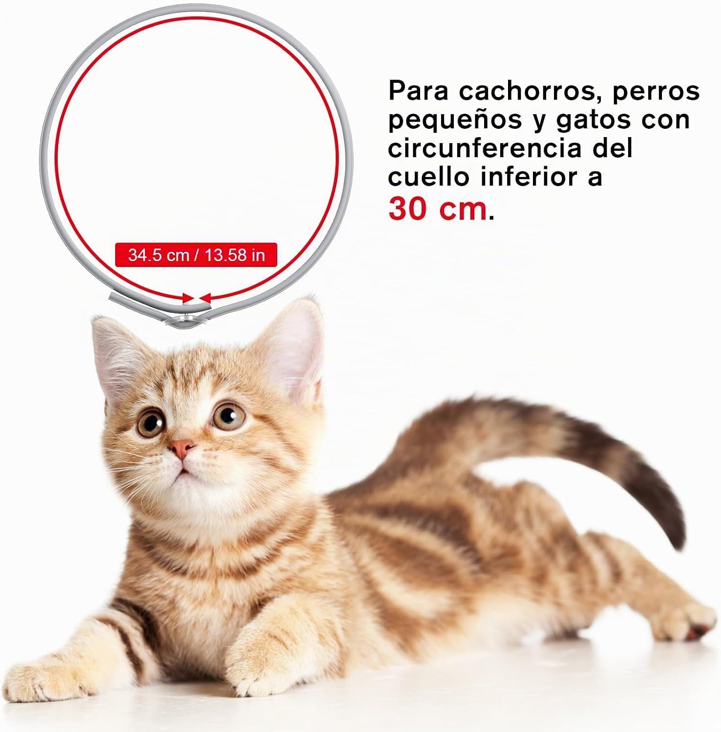 SEISSO 2 Flea Collars for Cats, Set of 2 Flea and Tick Collar with 6-8 Months Protection, Anti-Parasitic Collar 34.5 cm Adjustable for Small Dogs and Cats, Grey