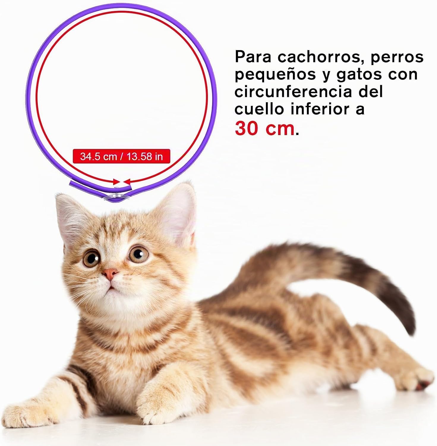 SEISSO 2 Flea Collars for Cats, Set of 2 Flea and Tick Collar with 6-8 Months Protection, Anti-Parasitic Collar 34.5 cm Adjustable for Small Dogs and Cats, Purple