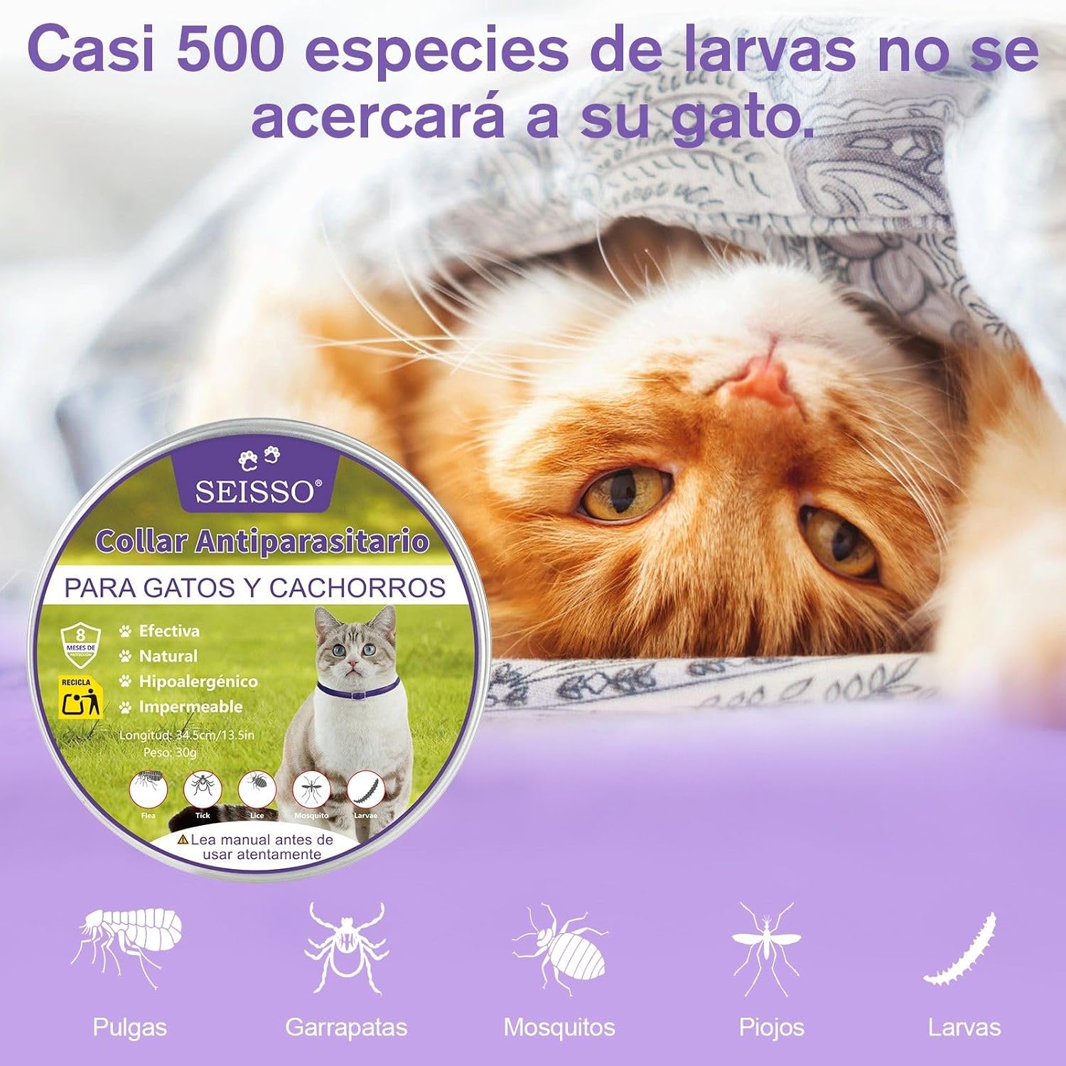 SEISSO 2 Flea Collars for Cats, Set of 2 Flea and Tick Collar with 6-8 Months Protection, Anti-Parasitic Collar 34.5 cm Adjustable for Small Dogs and Cats, Purple