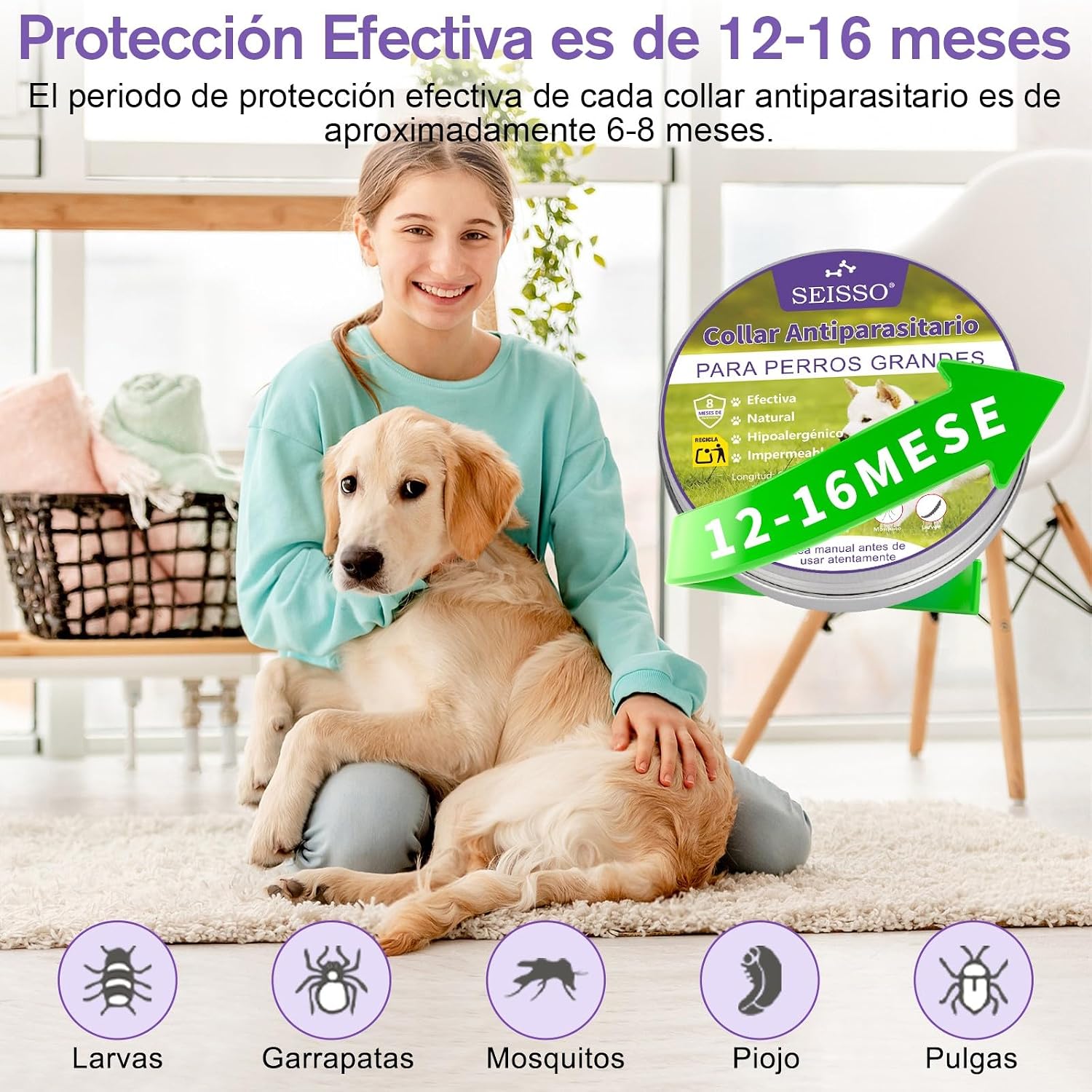 SEISSO 2 Flea Collar for Dogs, 63.5 cm, Purple